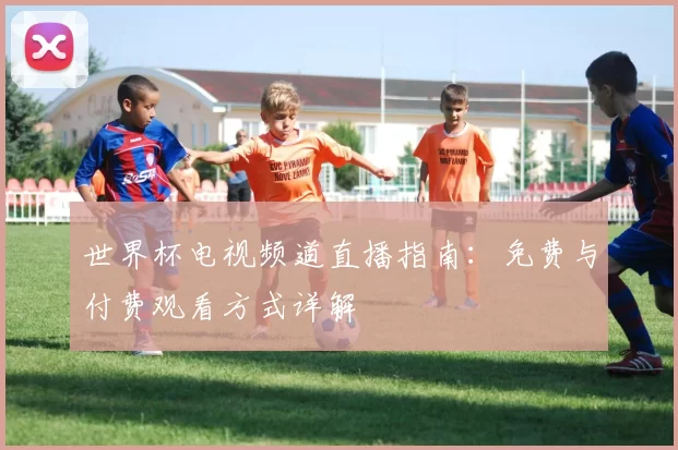 世界杯电视频道直播指南：免费与付费观看方式详解