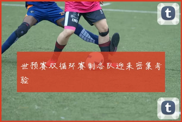 世预赛双循环赛制各队迎来密集考验