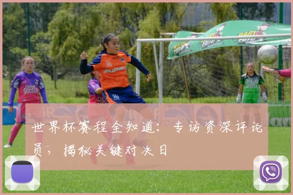 世界杯赛程全知道：专访资深评论员，揭秘关键对决日