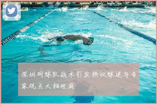 深圳网球队战术引发热议球迷与专家观点大相径庭