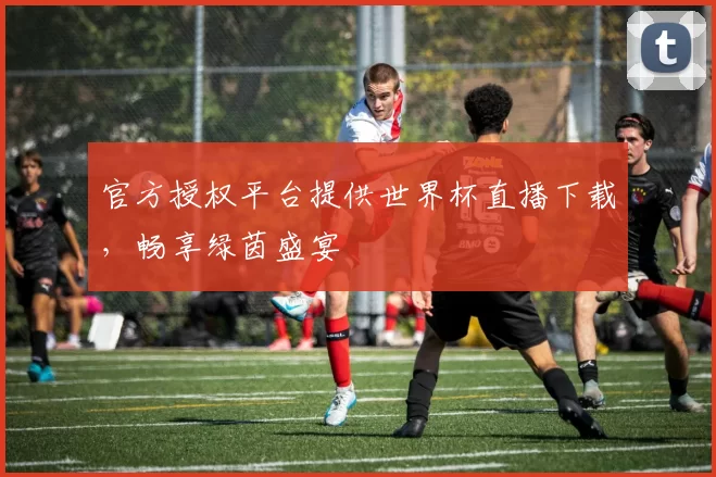 官方授权平台提供世界杯直播下载，畅享绿茵盛宴