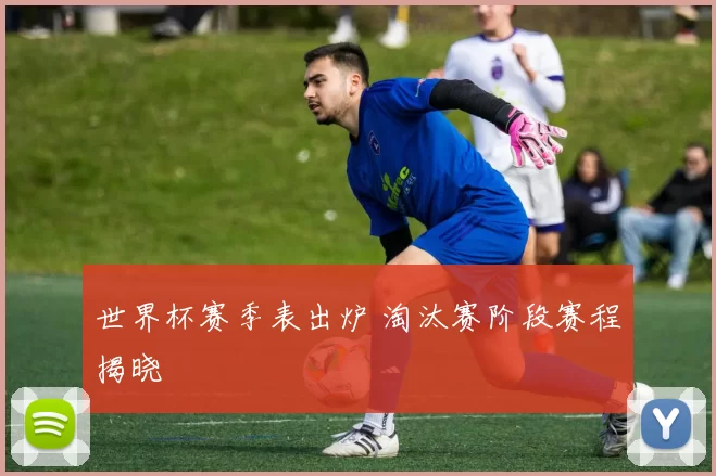 世界杯赛季表出炉 淘汰赛阶段赛程揭晓