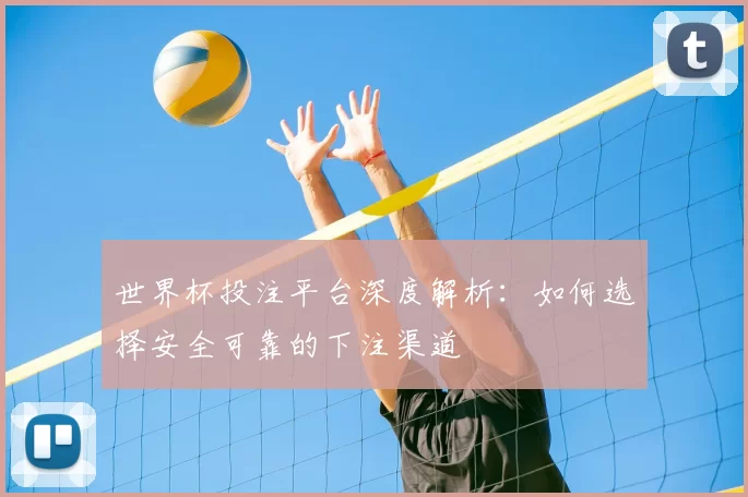 世界杯投注平台深度解析：如何选择安全可靠的下注渠道