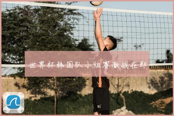 世界杯韩国队小组赛激战在即