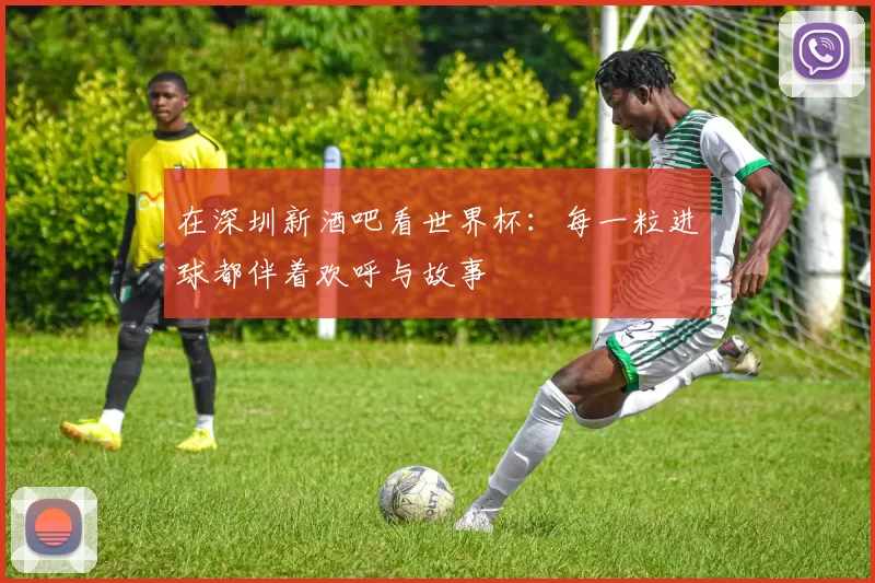在深圳新酒吧看世界杯:每一粒进球都伴着欢呼与故事