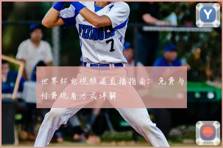 世界杯电视频道直播指南：免费与付费观看方式详解
