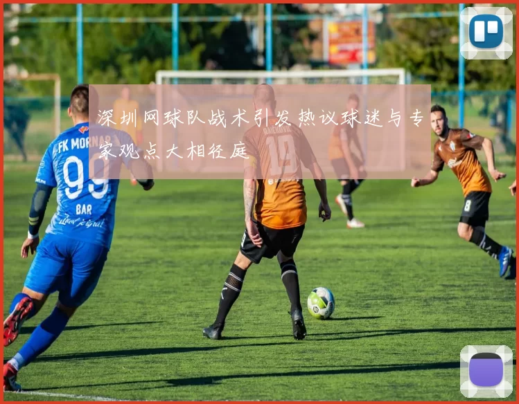 深圳网球队战术引发热议球迷与专家观点大相径庭