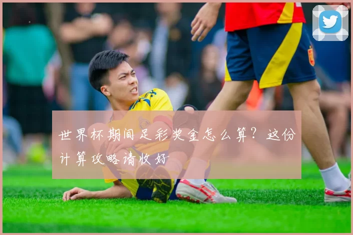世界杯期间足彩奖金怎么算？这份计算攻略请收好